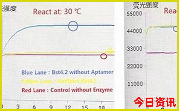 夏季适合带孩子游玩的城市